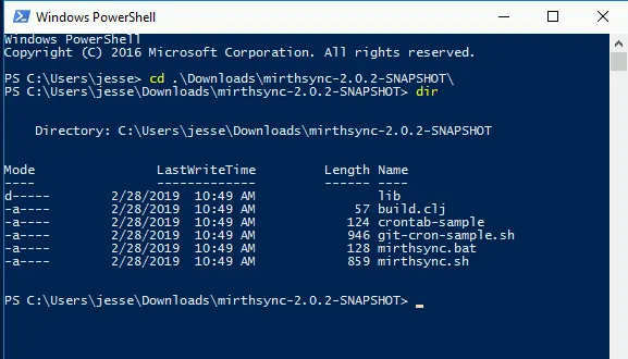 Windows Powershell showing unzipped files