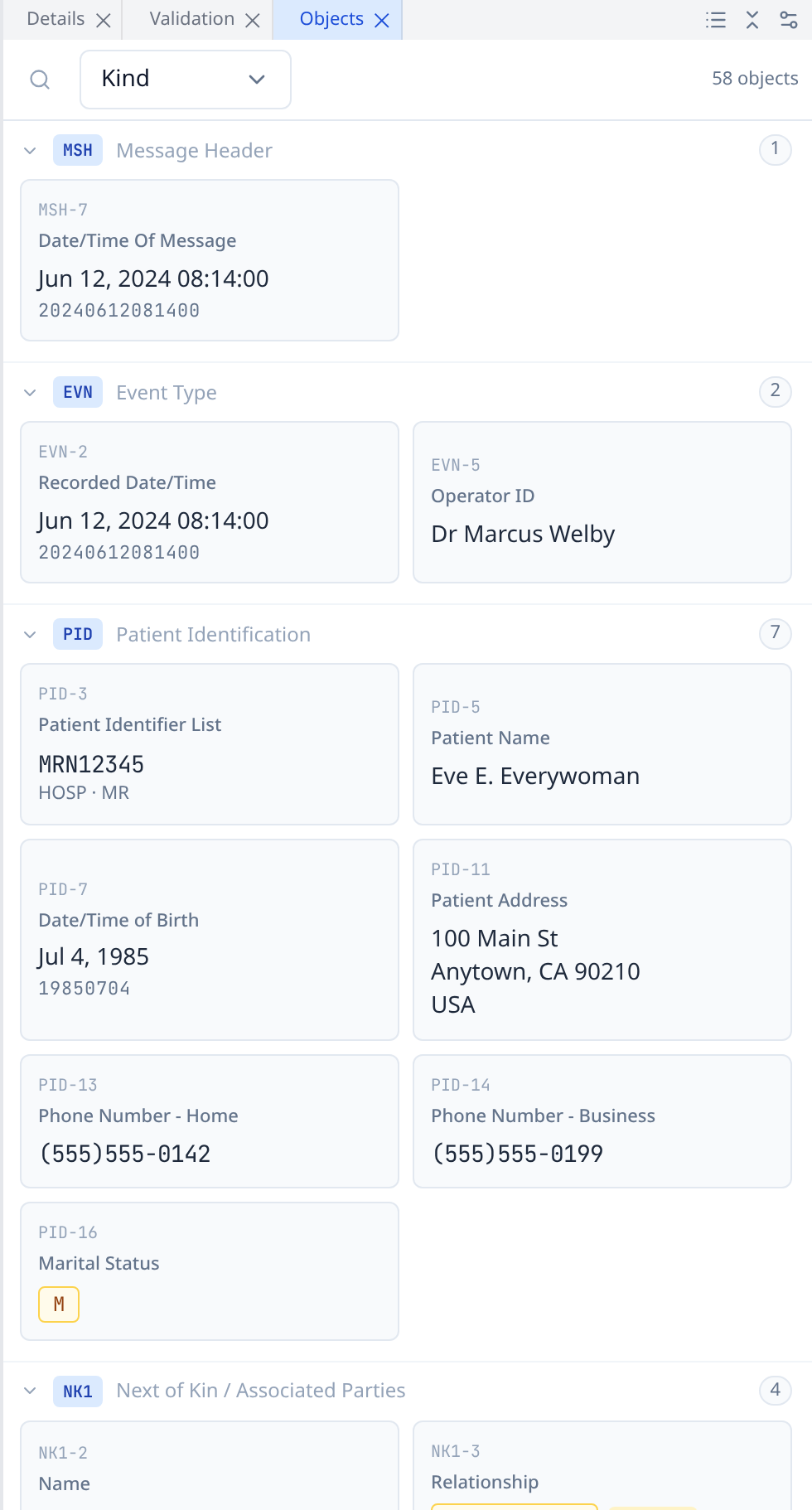 Object view pane showing decoded patient fields as cards grouped by segment